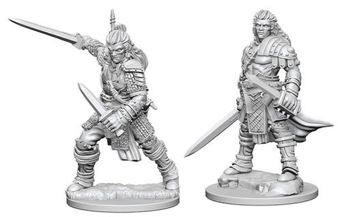 Pathfinder - Unpainted Human Male Fighter